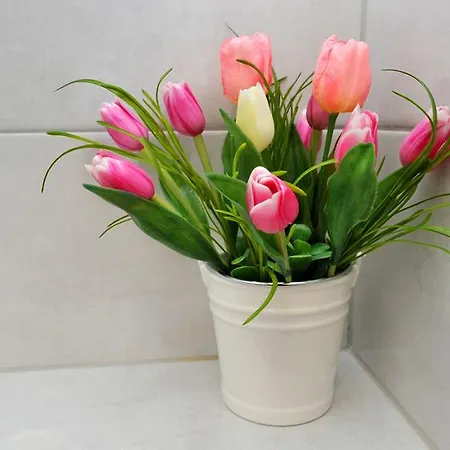 Gostinjska kuća Luxury Nirvana